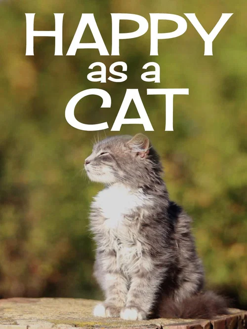 Happy as a Cat постер