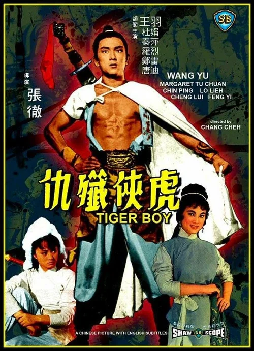 虎俠殲仇 постер