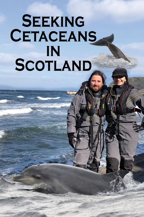 Seeking Cetaceans In Scotland постер