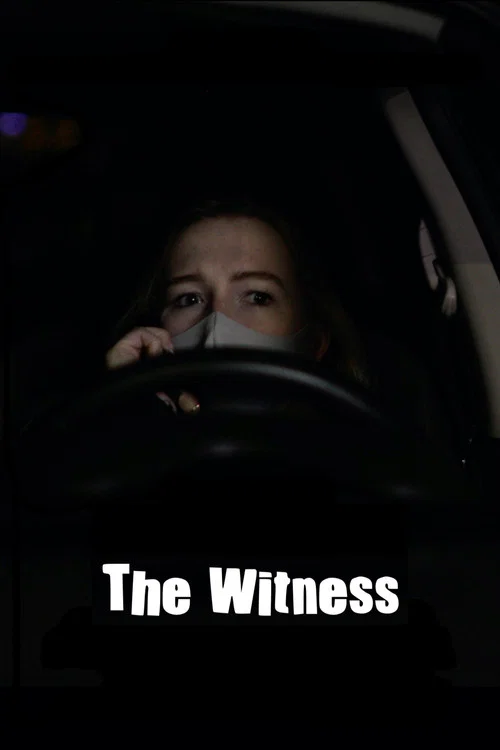 The Witness постер