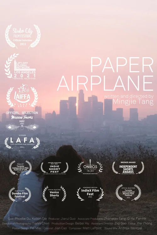 Paper Airplane постер