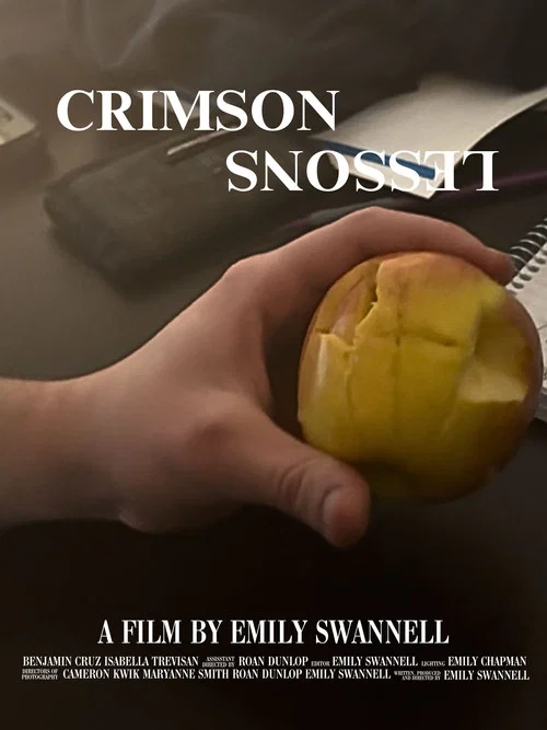 Crimson Lessons постер