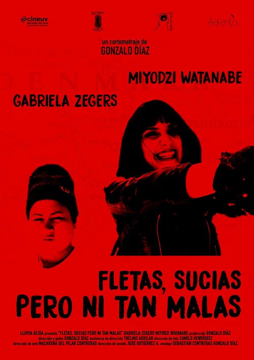 Fletas, sucias pero ni tan malas постер