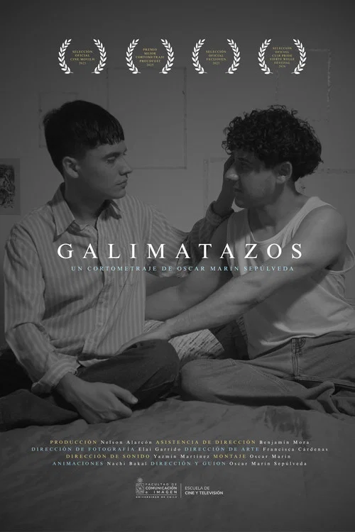 Galimatazos постер