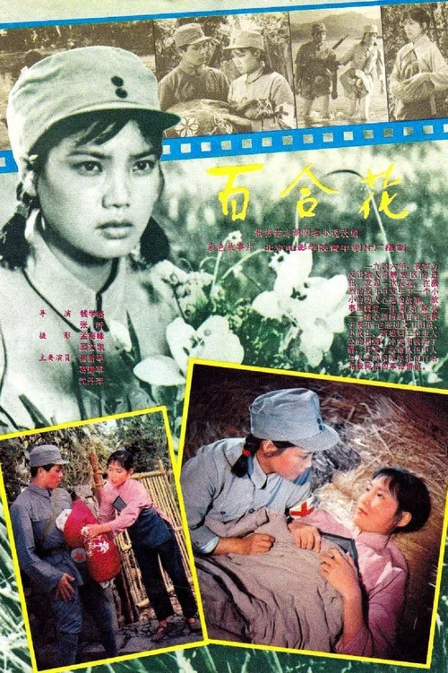 百合花 постер