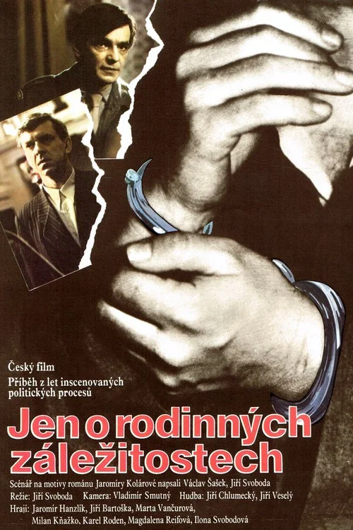Jen o rodinných záležitostech постер