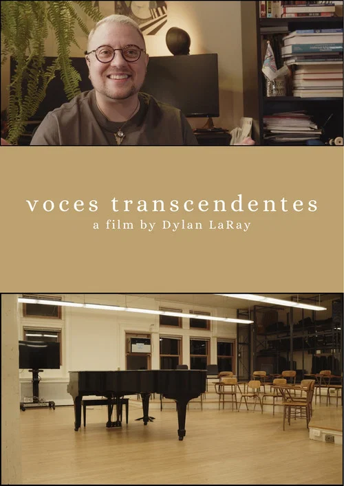 voces transcendentes постер
