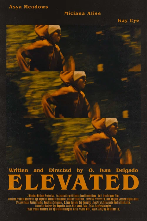 Elevated постер