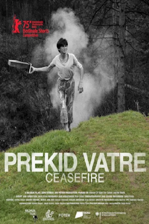 Prekid vatre постер