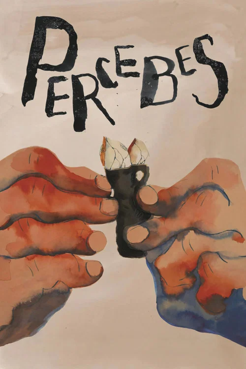 Percebes постер
