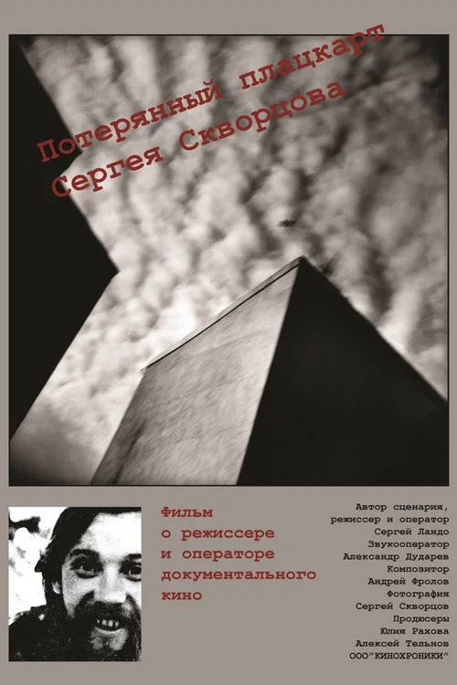 Потерянный плацкарт Сергея Скворцова постер