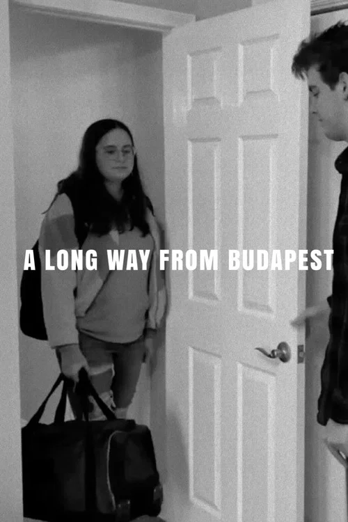 A Long Way from Budapest постер