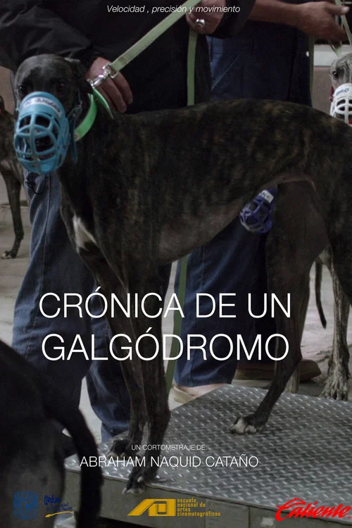 Crónica de un galgódromo постер