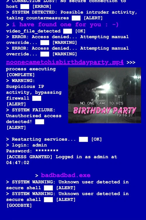 No One Came To His Birthday Party постер