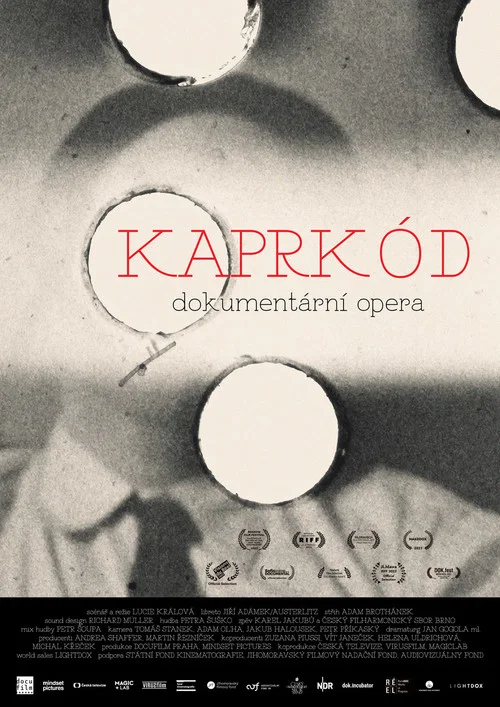 KaprKód постер