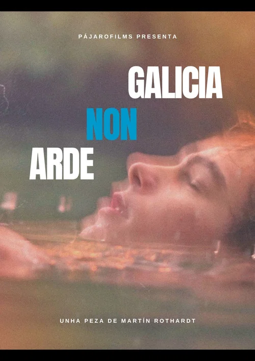 GALICIA NON ARDE постер
