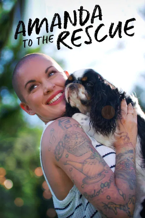 Amanda to the Rescue постер