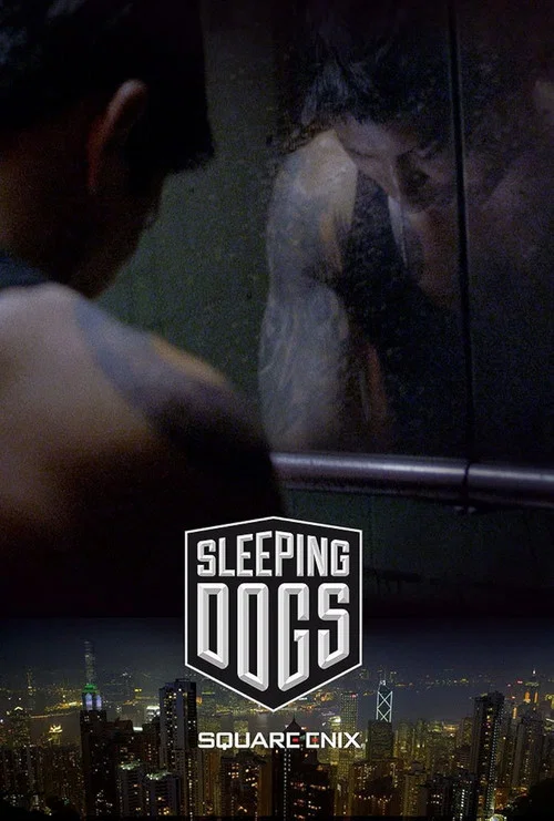 Sleeping Dogs постер
