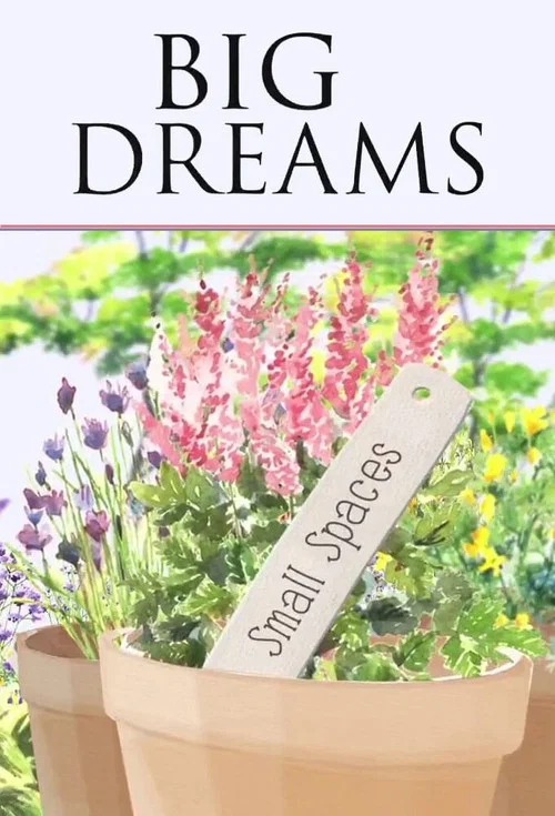 Big Dreams Small Spaces постер