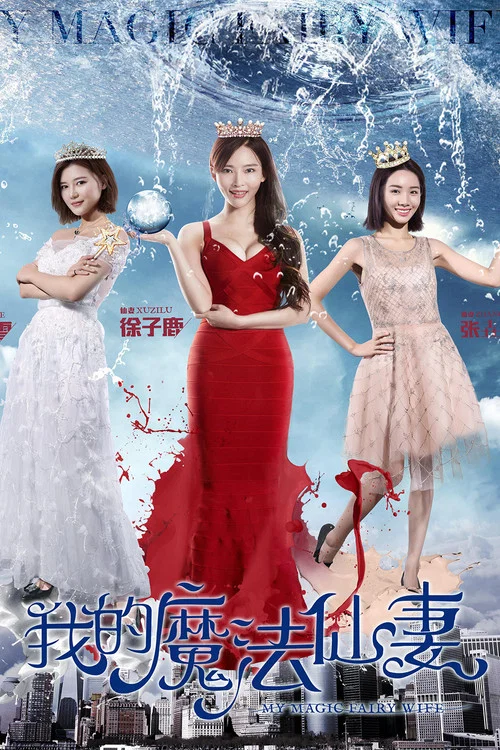 我的魔法仙妻 постер