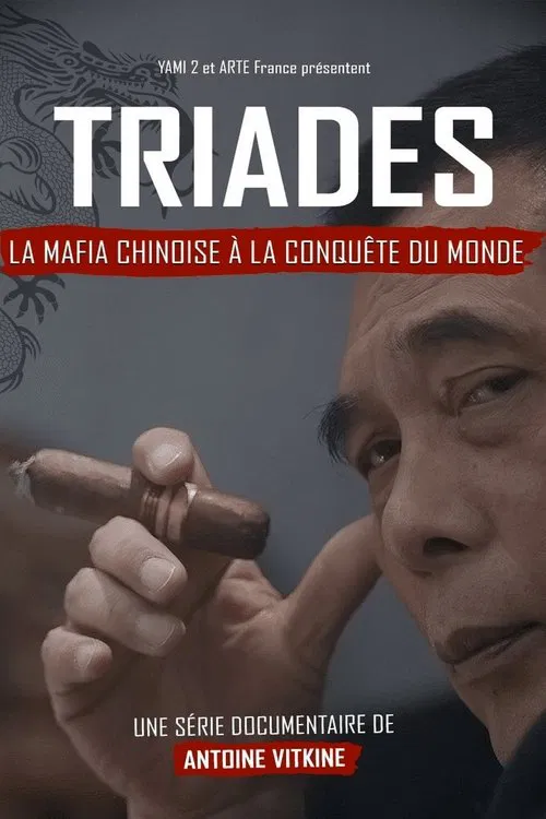 Triades : la Mafia chinoise à la conquête du monde постер