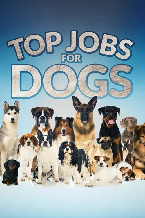 Top Jobs for Dogs постер