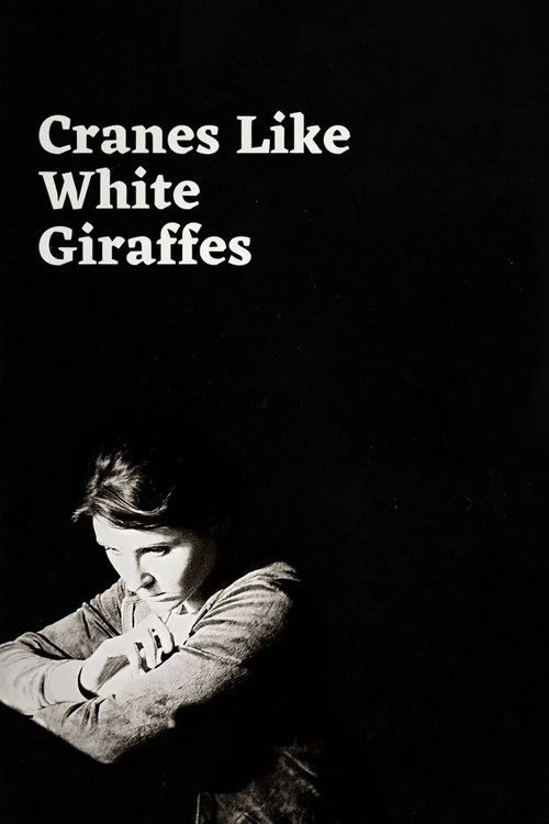 Cranes Like White Giraffes постер