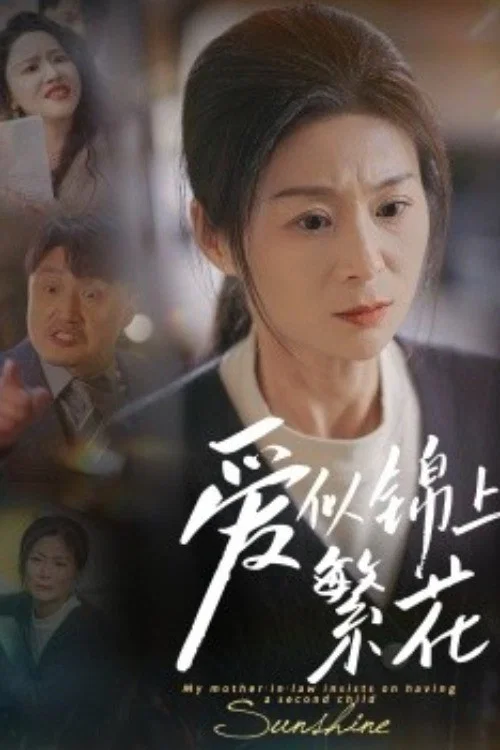 爱似锦上繁花 постер
