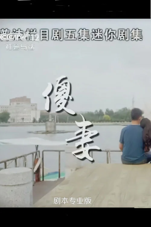 傻妻 постер