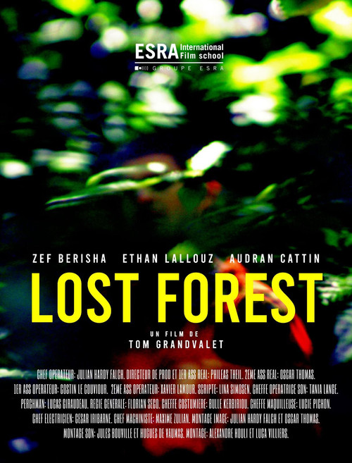 Lost Forest постер