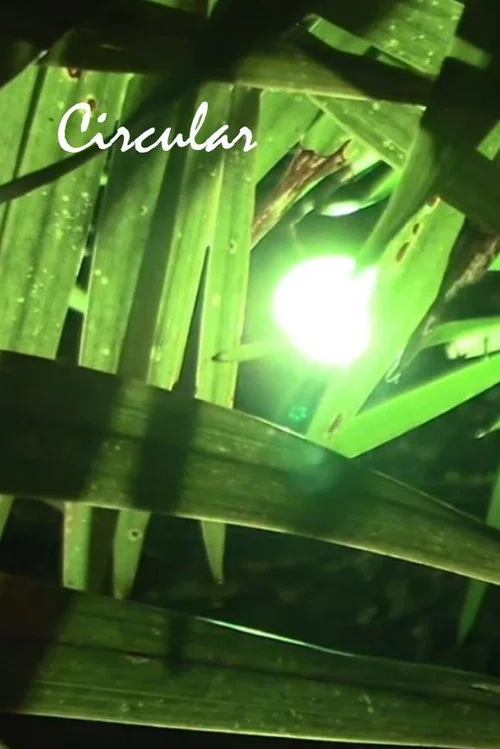 Circular постер