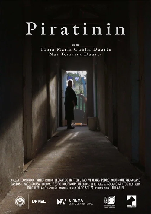 Piratinin постер