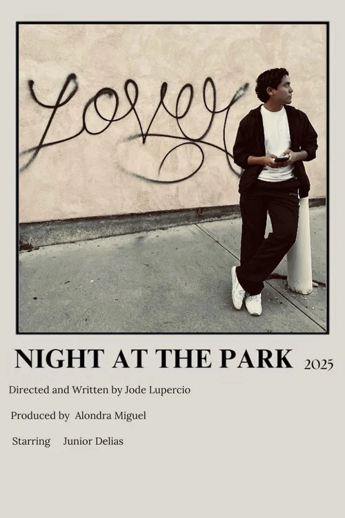 Night at the Park постер