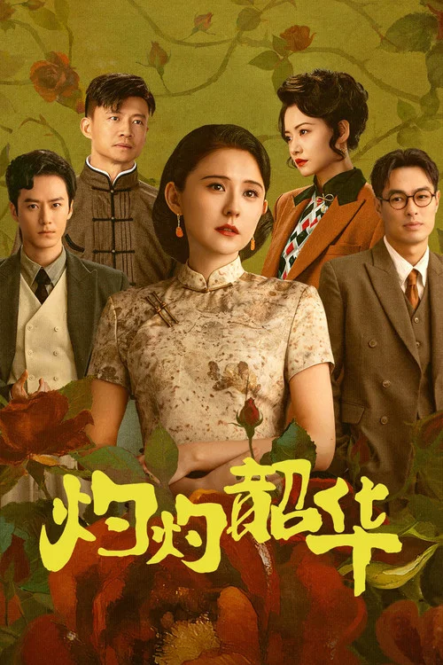 灼灼韶华 постер
