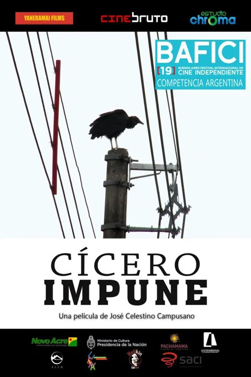 Cícero impune постер