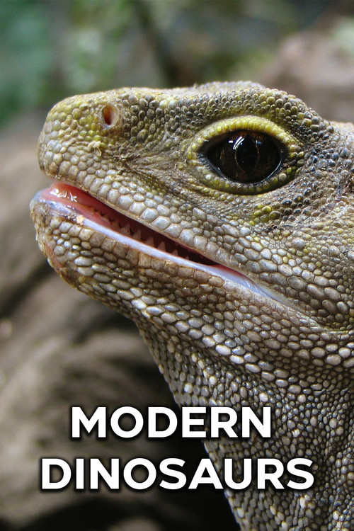 Modern Dinosaurs постер