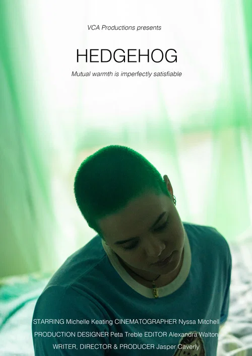 Hedgehog постер