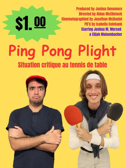 Ping Pong Plight постер