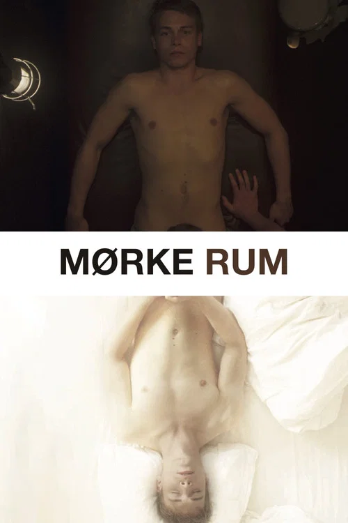 Mørke rum постер