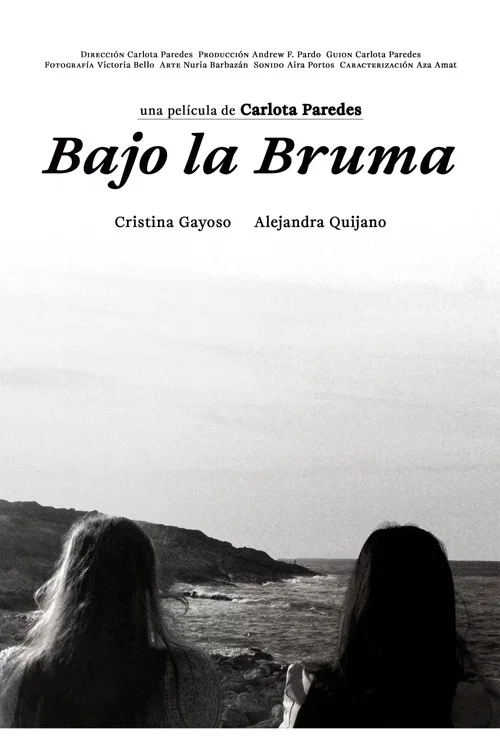 Bajo la bruma постер
