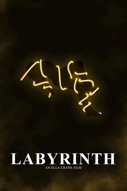 Labyrinth постер