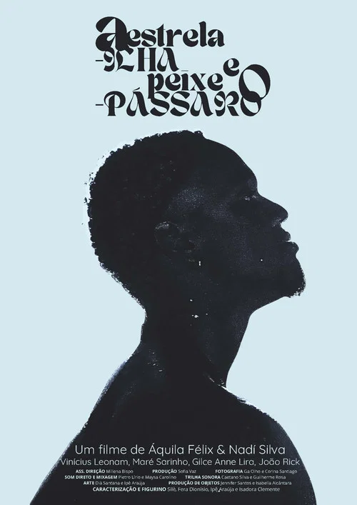 A Estrela-ilha e o Peixe-pássaro постер