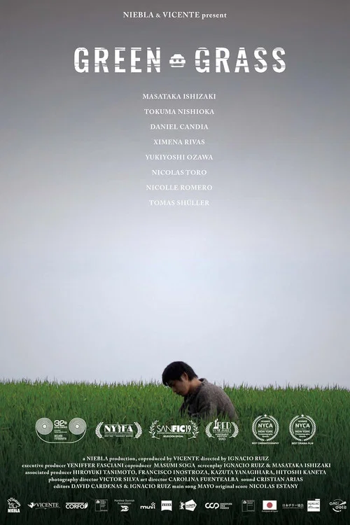 Green Grass постер