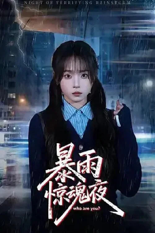 暴雨惊魂夜 постер