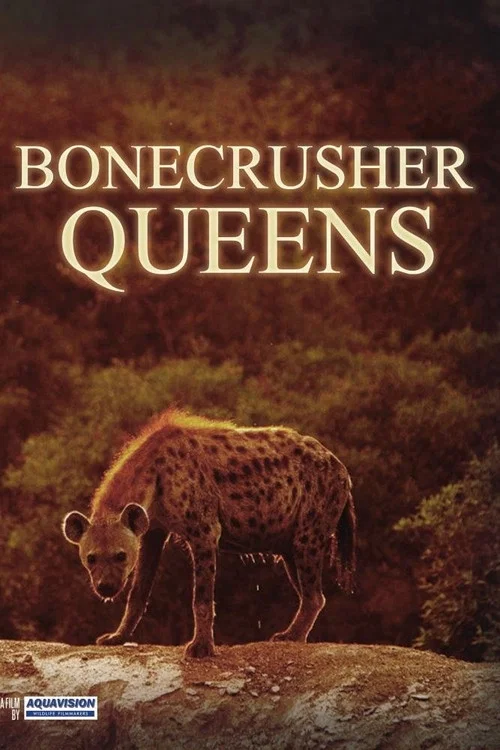 Bonecrusher Queens постер