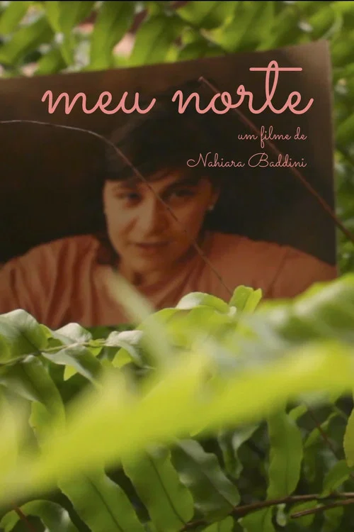 Meu Norte постер