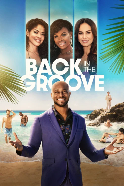 Back in the Groove постер