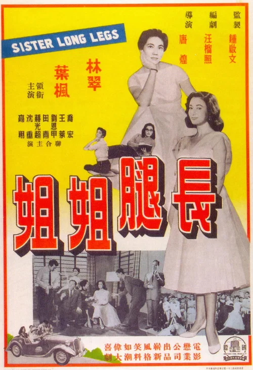 長腿姐姐 постер
