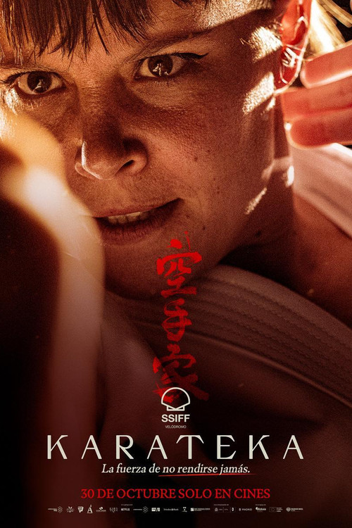 Karateka постер