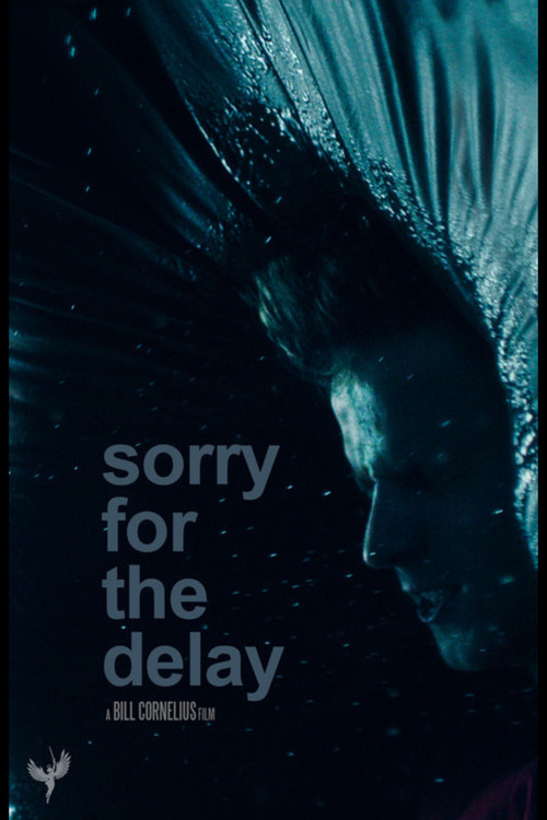 Sorry for the Delay постер
